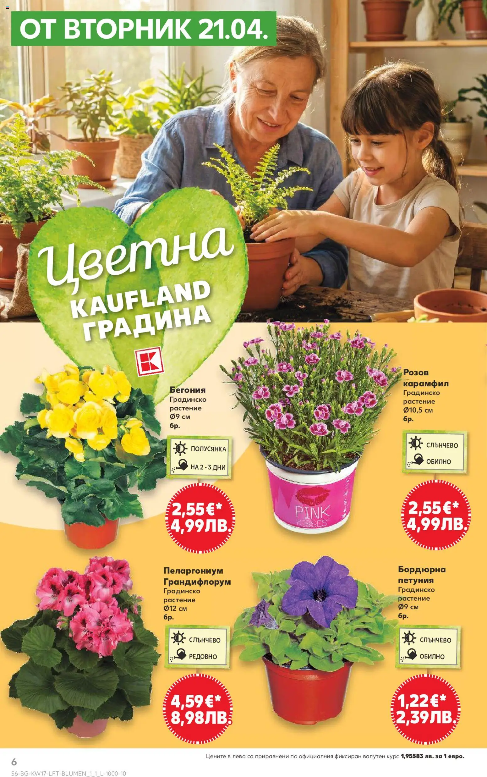 {H1} | Страница: 6 | Продукти: Карамфил