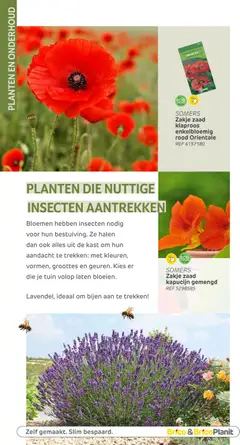 Brico - Tuincatalogus - Voorbeeld van een folder van Brico, geldig van 10.03.2026 | Pagina: 104 | Producten: Bloemen, Kast