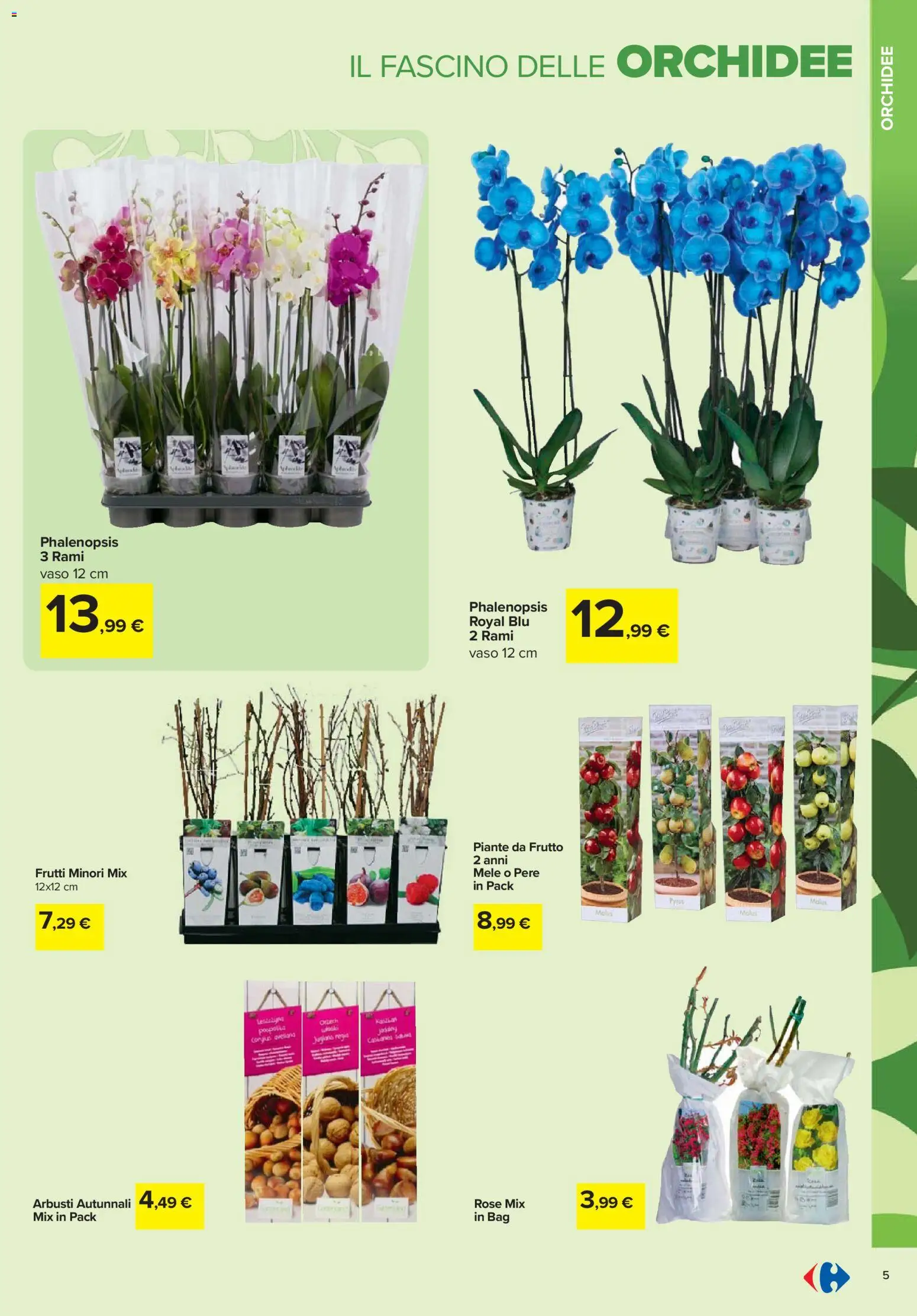 Volantino Carrefour del 19.02.2026 | Pagina: 5 | Prodotti: Mele, Vaso