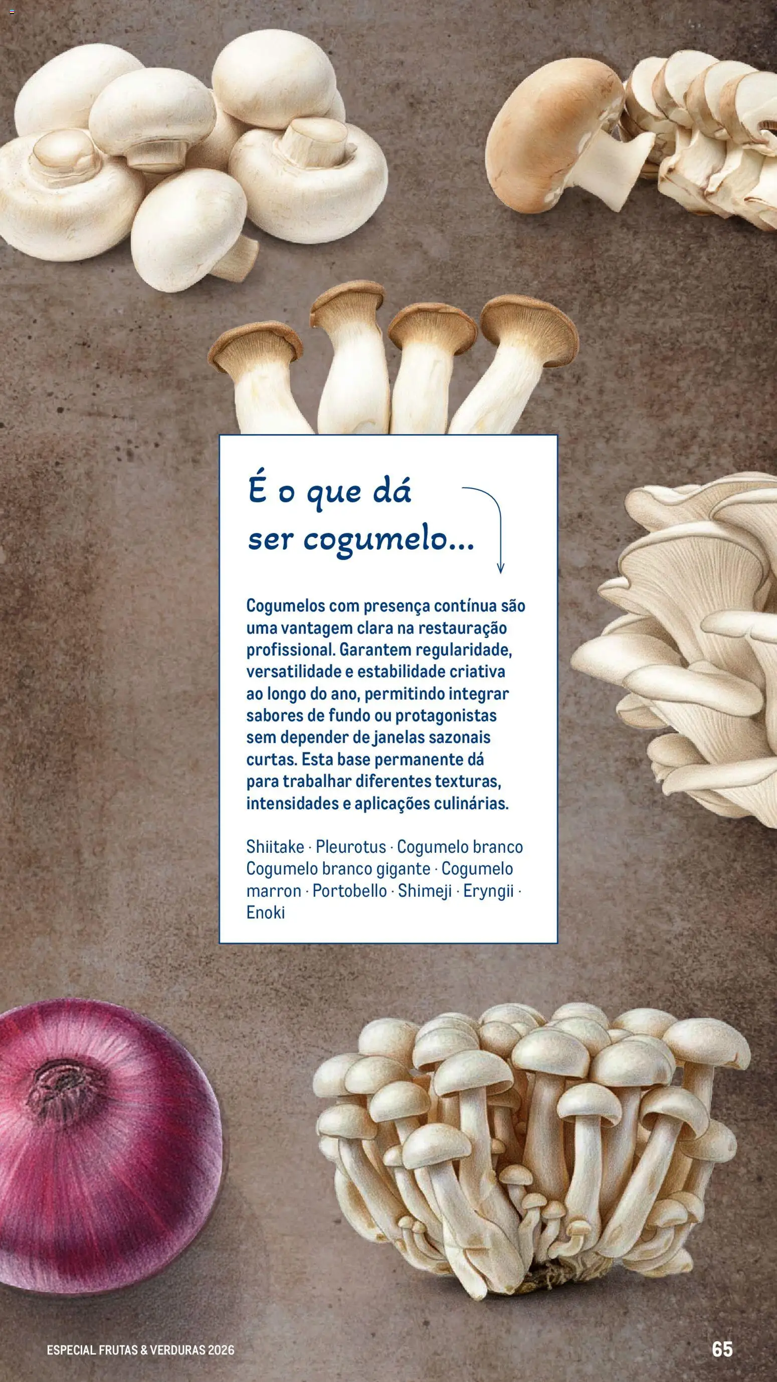 Makro Especial Frutas e Verduras 2026 │ válido de 06.03.2026 | Página: 65 | Produtos: Base, Cogumelos