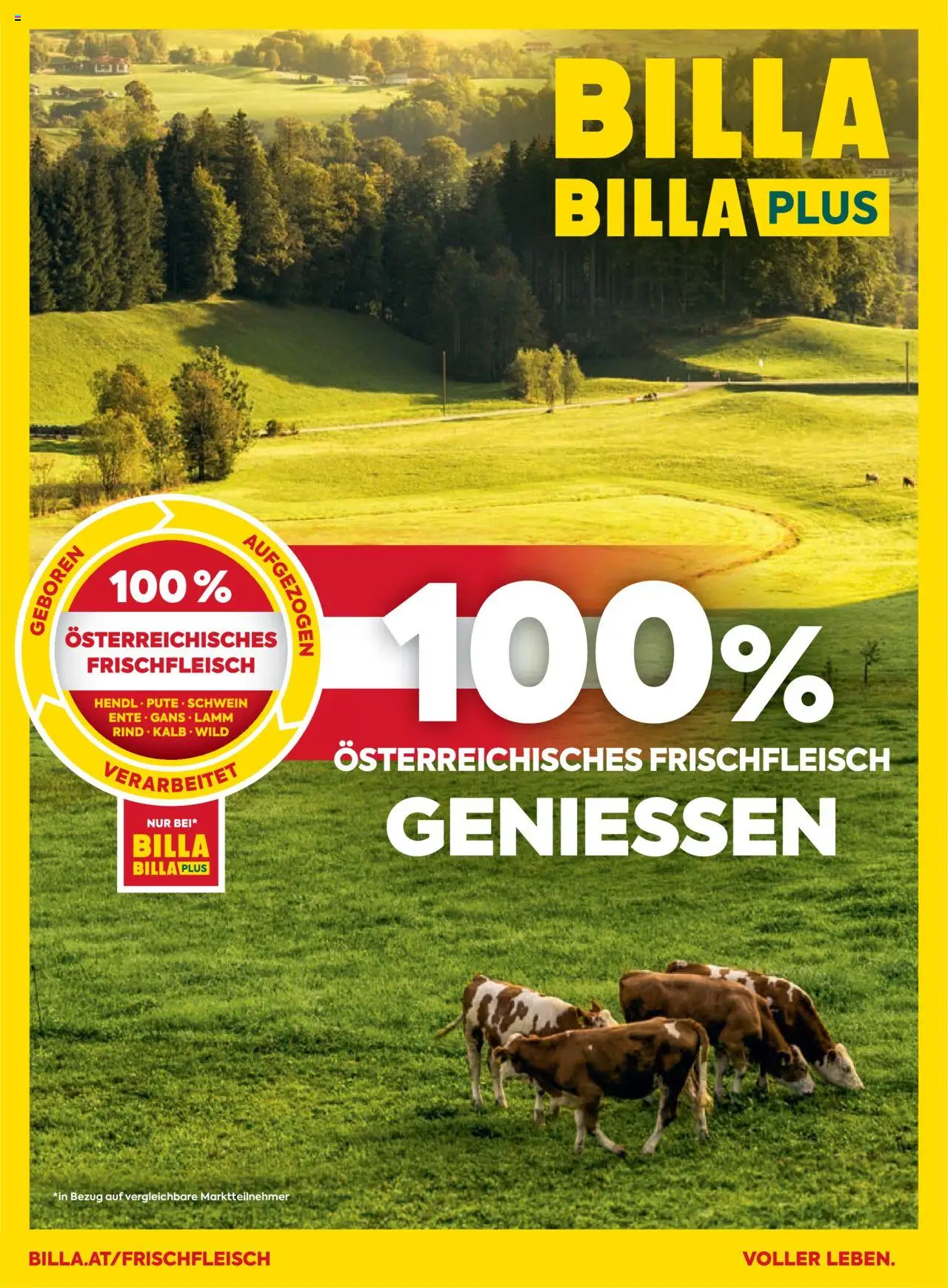 Billa Frisch Gekocht gültig ab 03.07.2025 | Seite: 76
