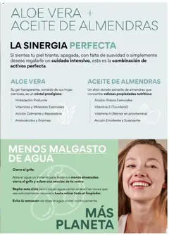 ALOE VERA + ACEITE DE ALMENDRAS, Combinación de aloe vera y aceite de almendras para un cuidado intensivo de la piel. │ válido desde el 03.06.2025 | Página: 31