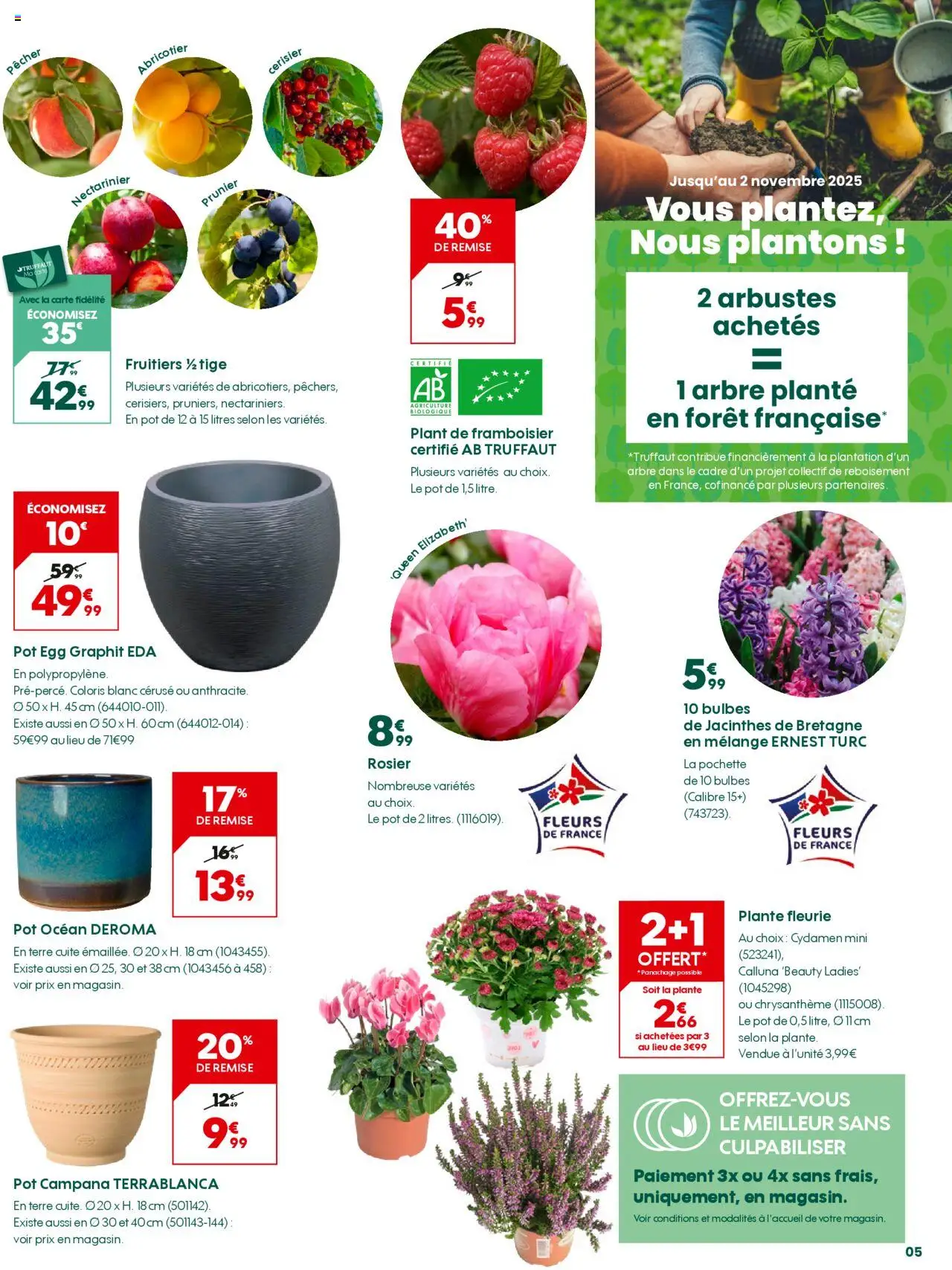{H1} | Page: 5 | Produits: Rosier, Chrysanthème, Cadre