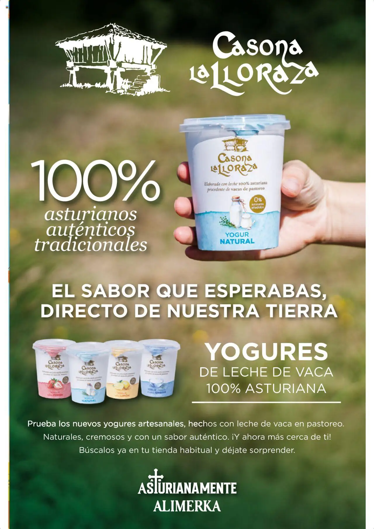 Alimerka folleto Asturias │ válido desde el 16.10.2025 | Página: 27 | Productos: Leche, Yogur