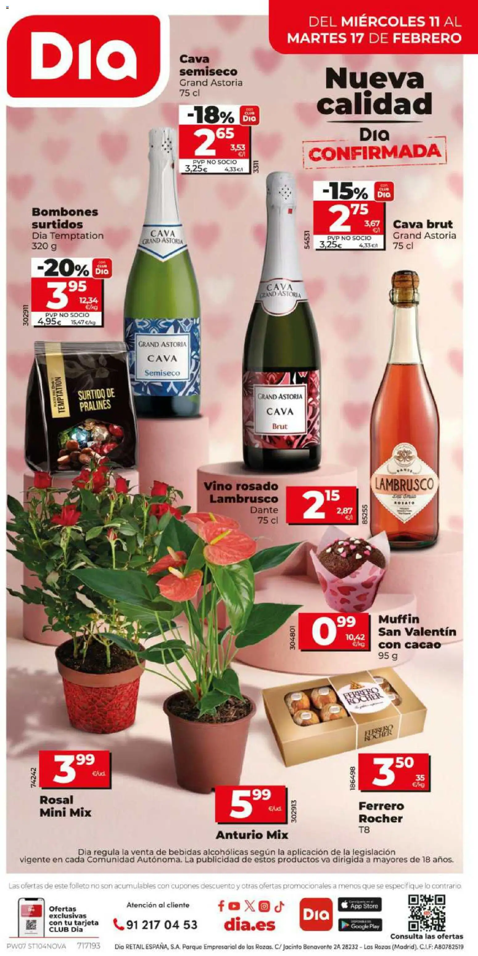 Dia - folleto Market │ válido desde el 11.02.2026 | Página: 12