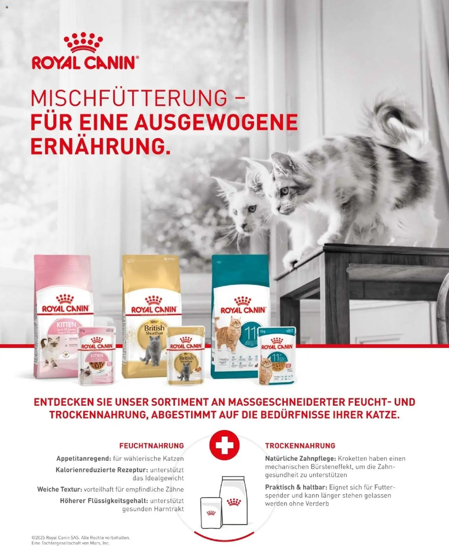 Fressnapf Friends 01/26 gültig ab 01.01.2026 | Seite: 9