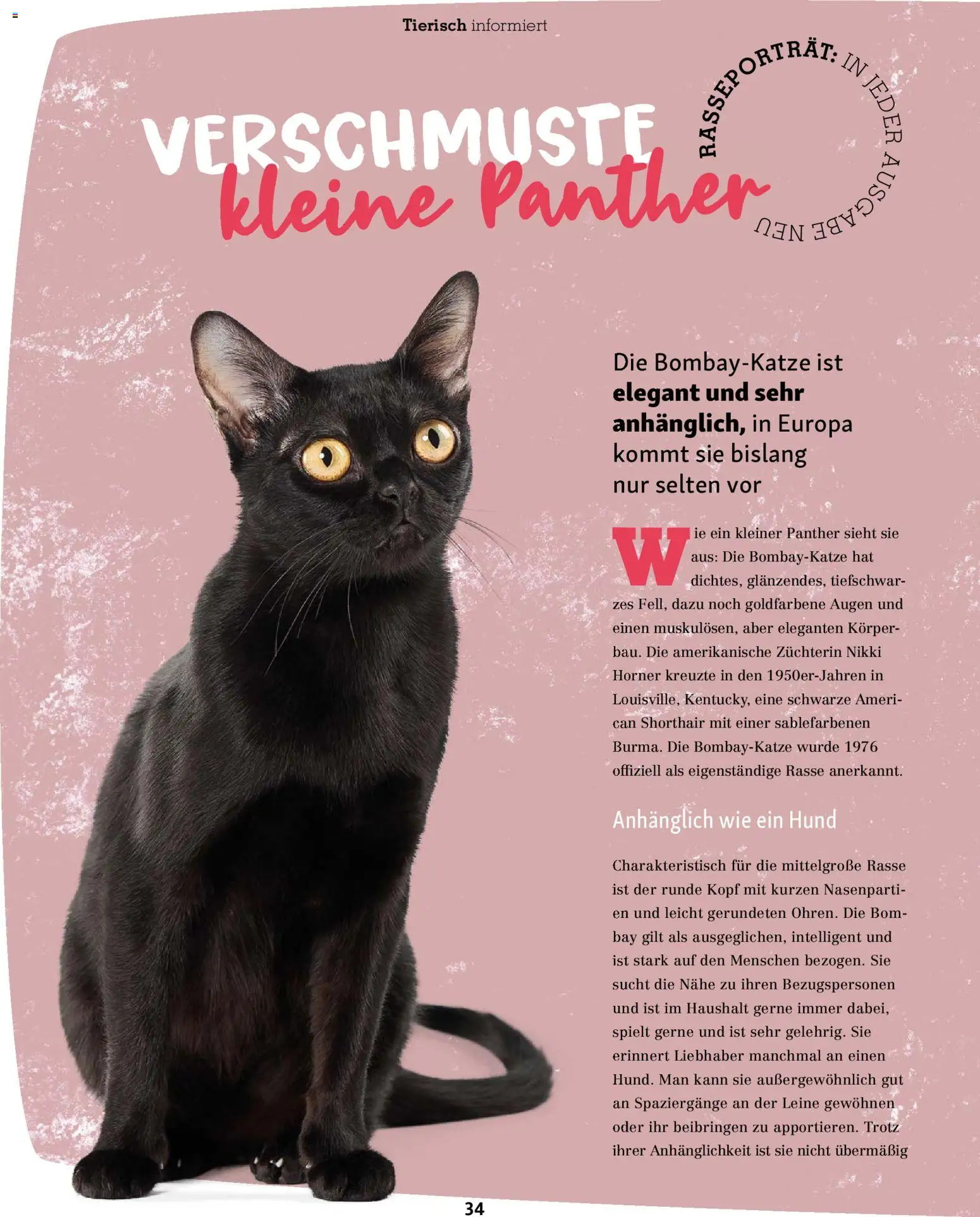 Fressnapf Magazin – gültig ab 01.11.2025 | Seite: 34