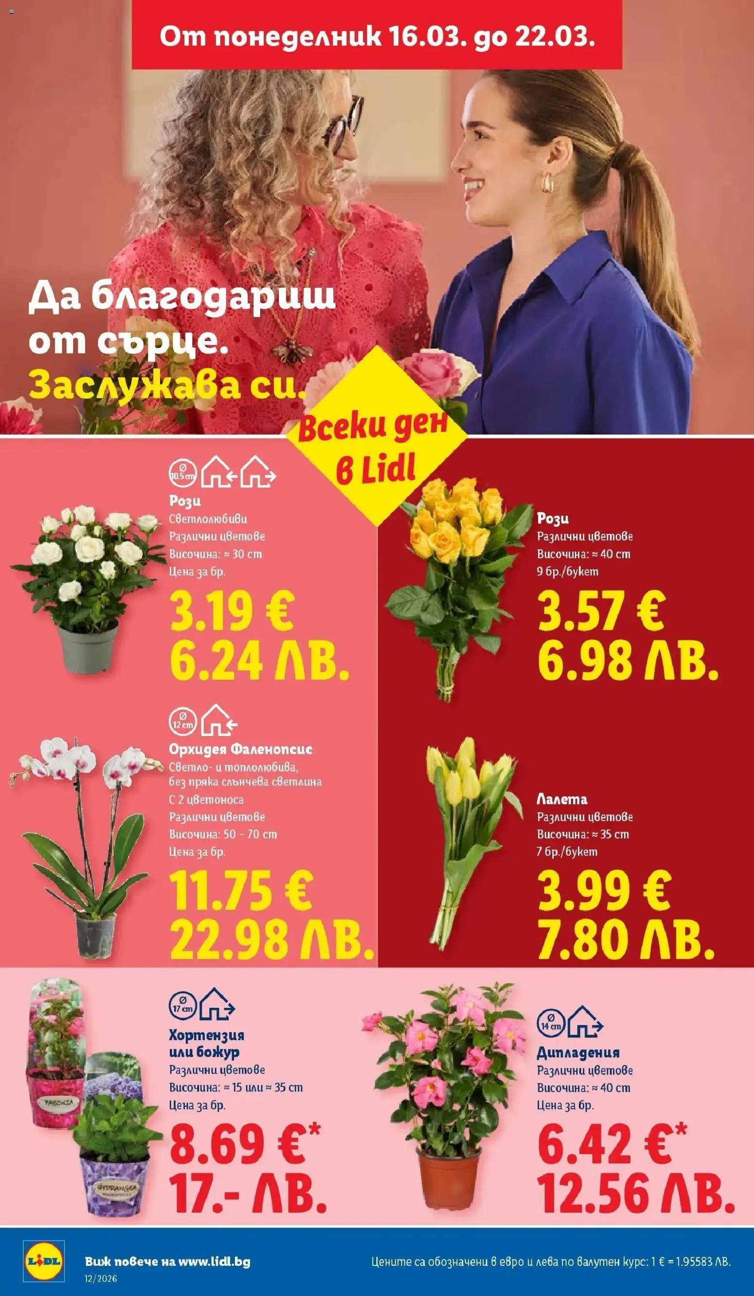 {H1} | Страница: 50 | Продукти: Орхидея