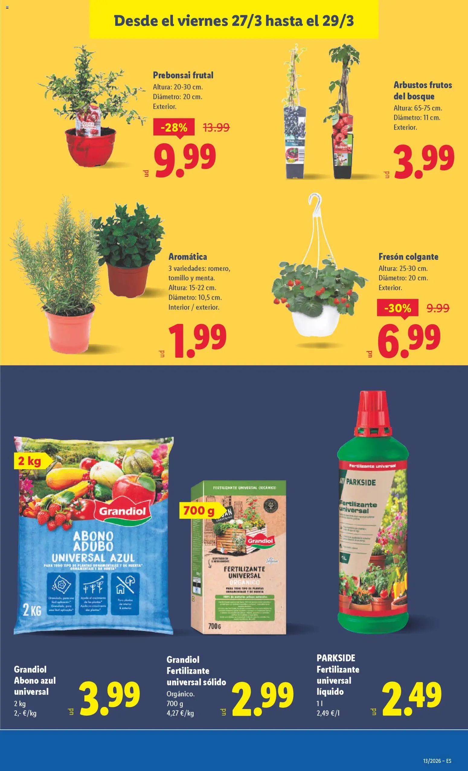 Lidl folleto │ válido desde el 23.03.2026 | Página: 31