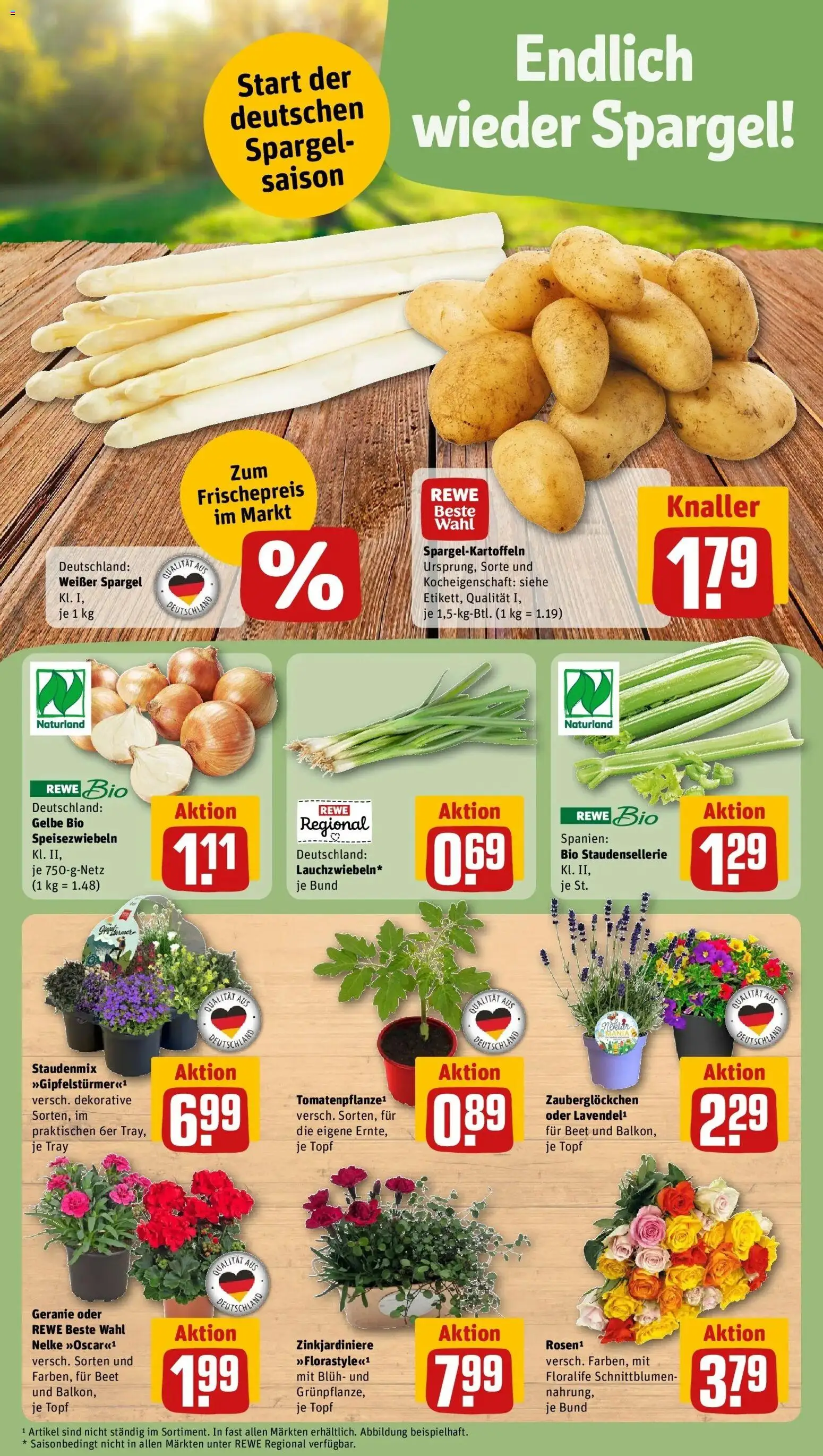 Rewe Prospekt Hassloch	 – gültig ab 12.04.2026 | Seite: 5 | Produkte: Spargel