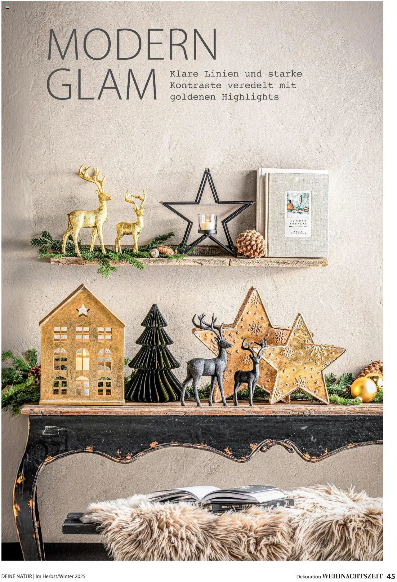 Dehner  Flugblatt gültig ab 10.10.2025 | Seite: 45