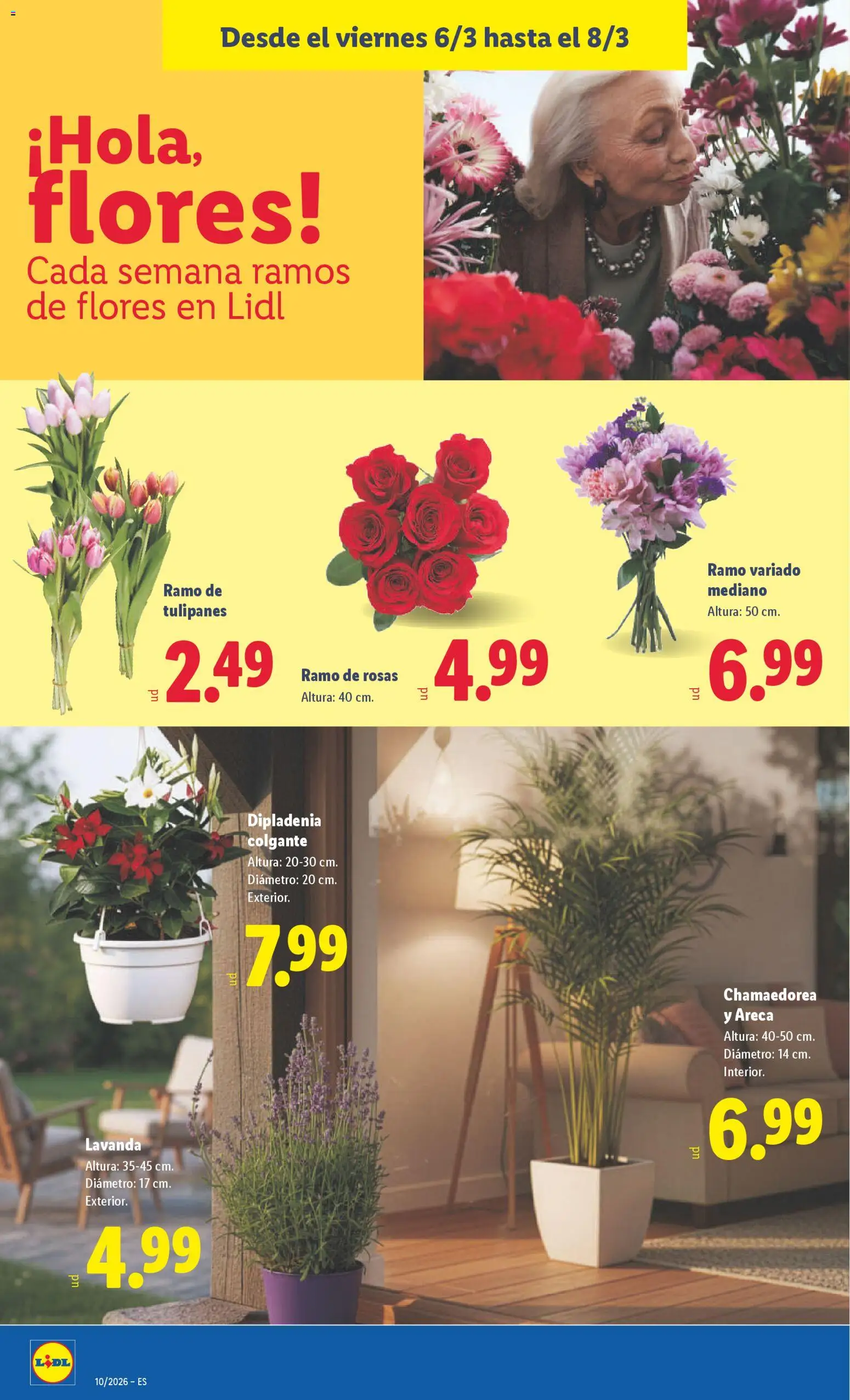 Lidl folleto │ válido desde el 02.03.2026 | Página: 52