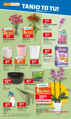 E.Leclerc Gazetka - Elbląg od 08.09.2025 | Strona: 5 | Produkty: Karta, Goździk, Doniczka, Storczyk