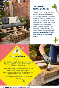 Ofertele Lidl valabile de la 19.02.2026 | Pagină: 6