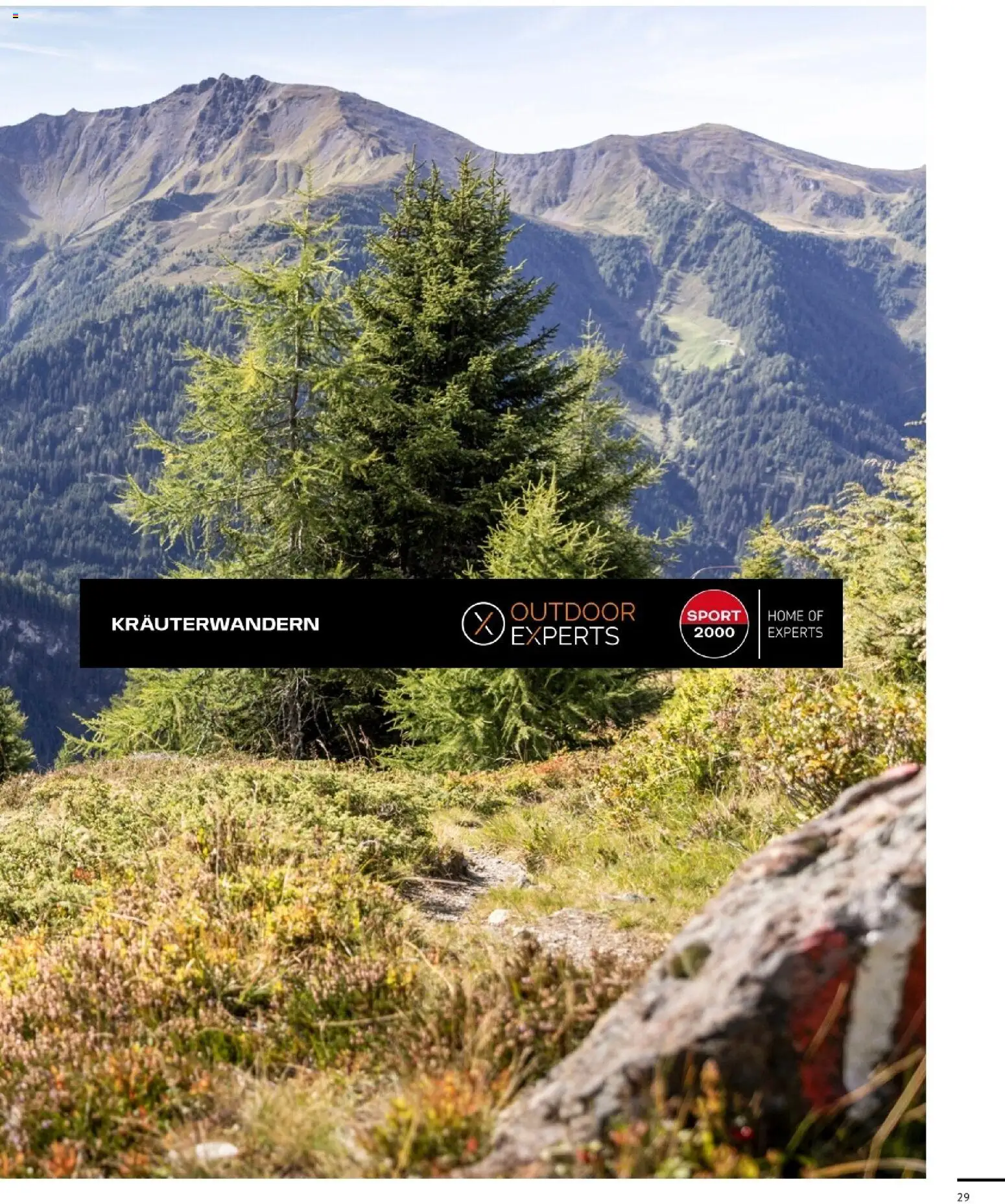 Sport2000 Prospekt Frühjahr 2026 – gültig ab 12.04.2026 | Seite: 29