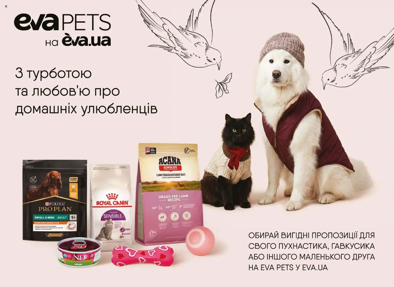 Eva Kаталог - дійснийкції з 29.01.2026 | Сторінка: 44