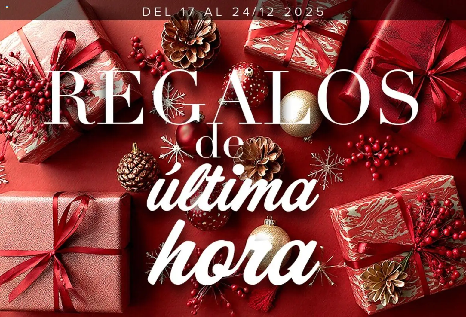 Costco catálogo │ válido desde el 17.12.2025 | Página: 1