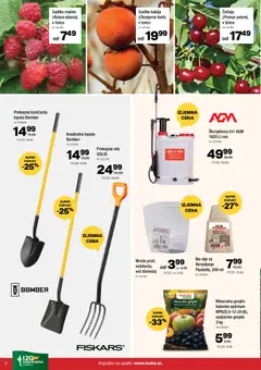 Kalia katalog akcije – veljaven od 09.02.2026 | Stran: 6 | Izdelki: Olje, Maline
