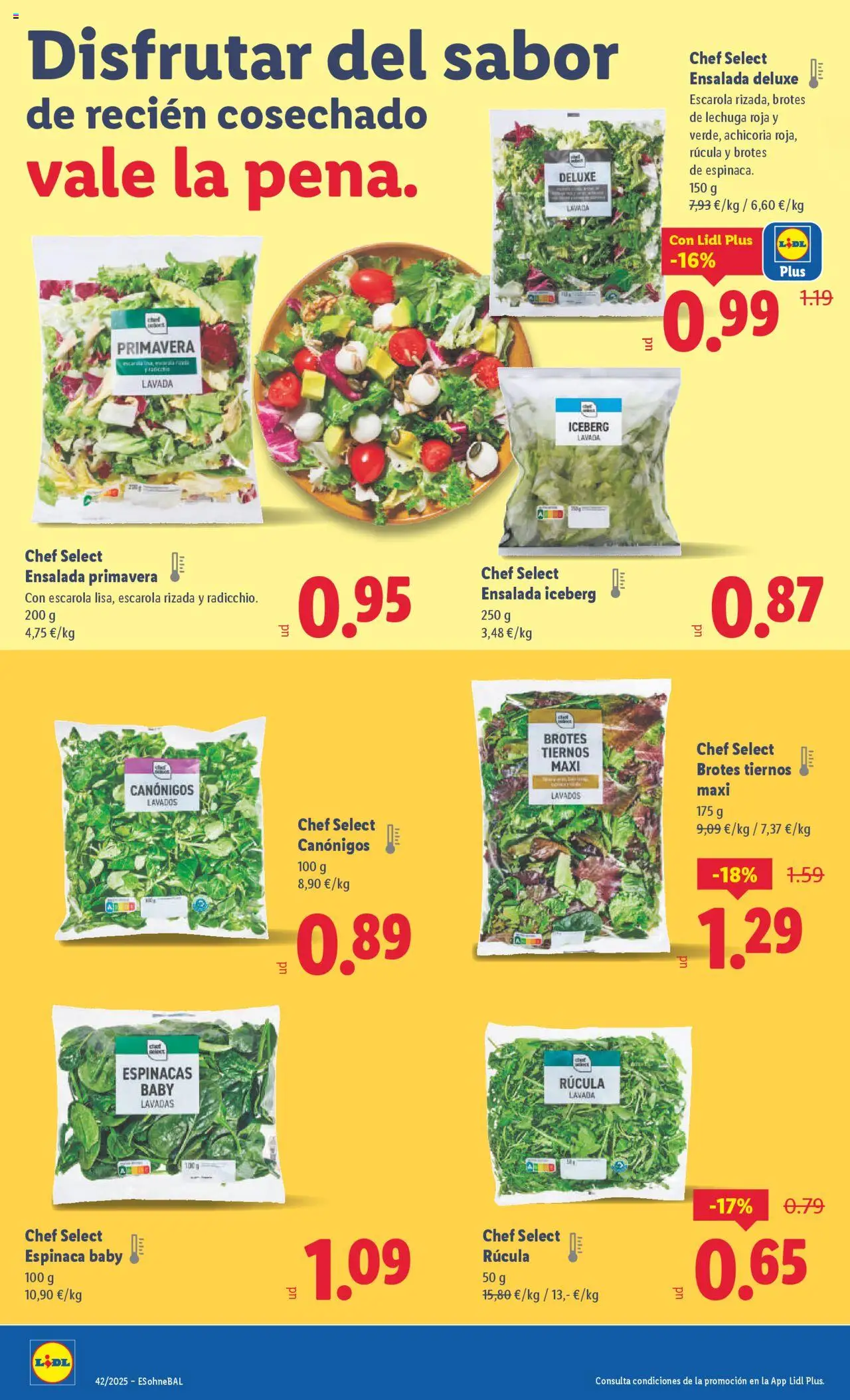 Lidl catálogo BCN │ válido desde el 13.10.2025 | Página: 8 | Productos: Espinaca, Πορσελάνη, Ensalada