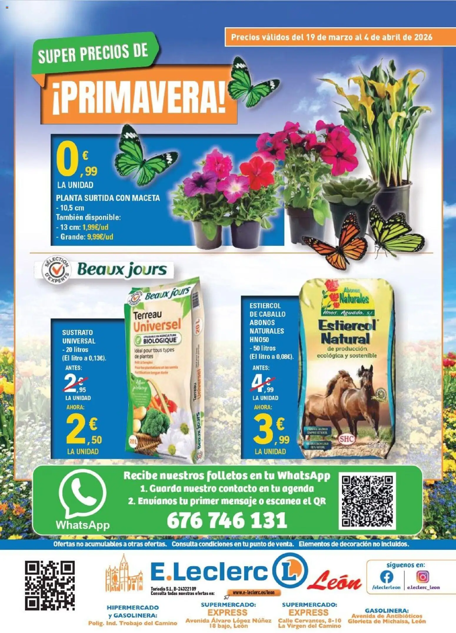 E.Leclerc - León │ válido desde el 19.03.2026 | Página: 16 | Productos: Maceta