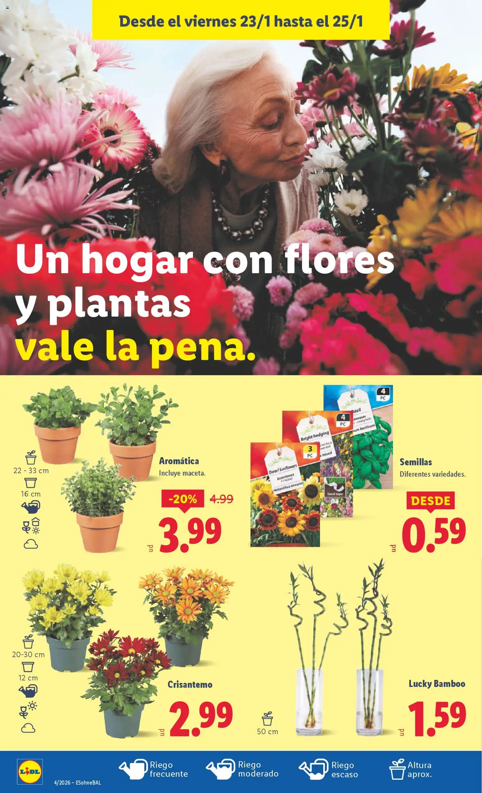Lidl folleto │ válido desde el 19.01.2026 | Página: 40