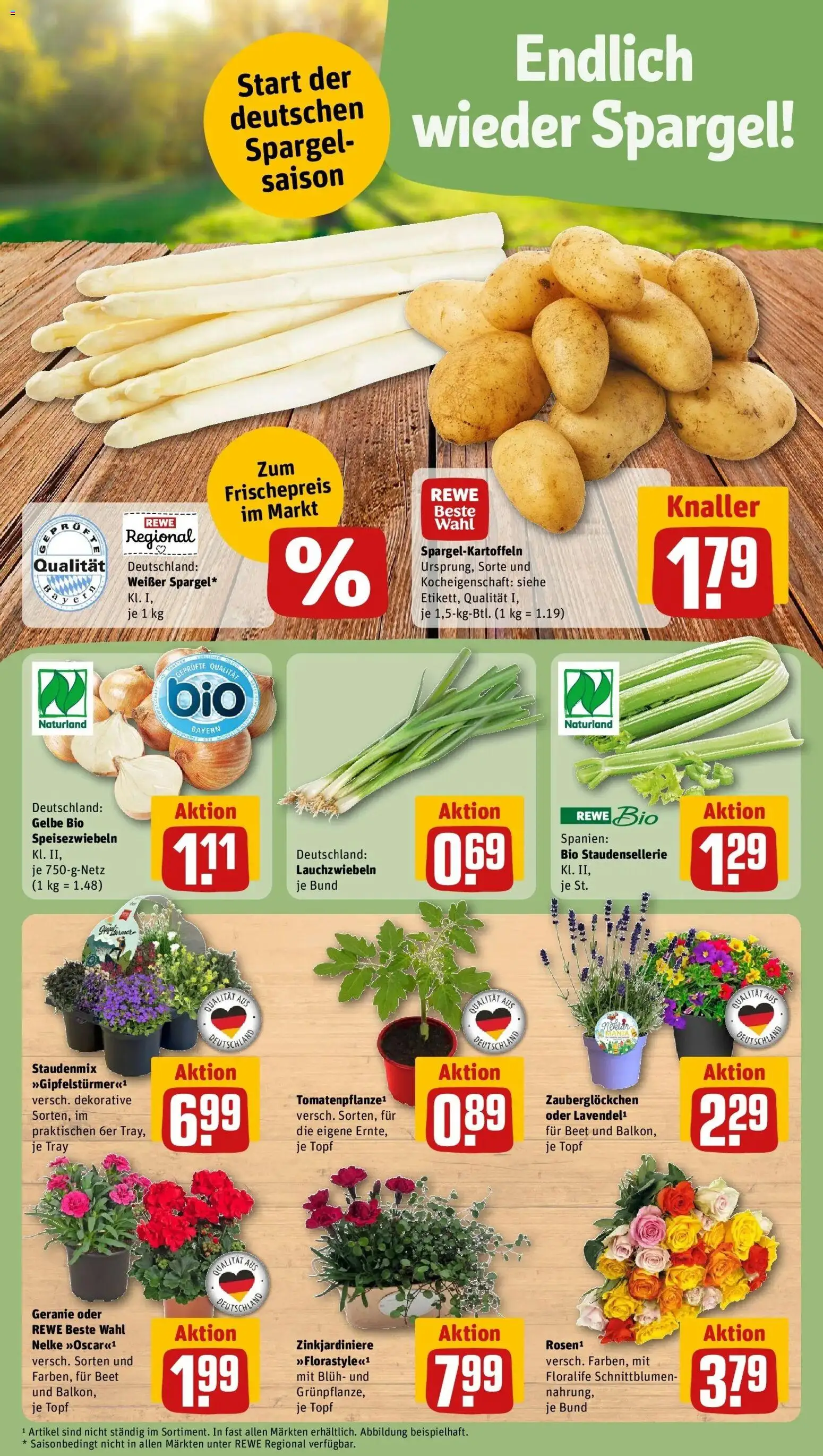 Rewe Prospekt München	 – gültig ab 13.04.2026 | Seite: 5 | Produkte: Spargel