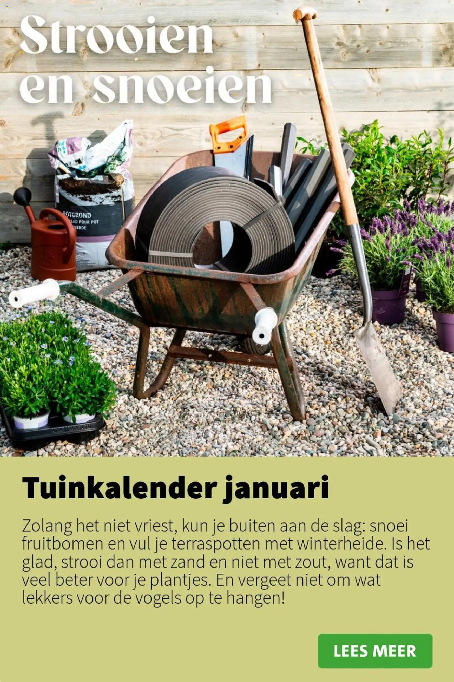 {H1} | Pagina: 8 | Producten: Pot