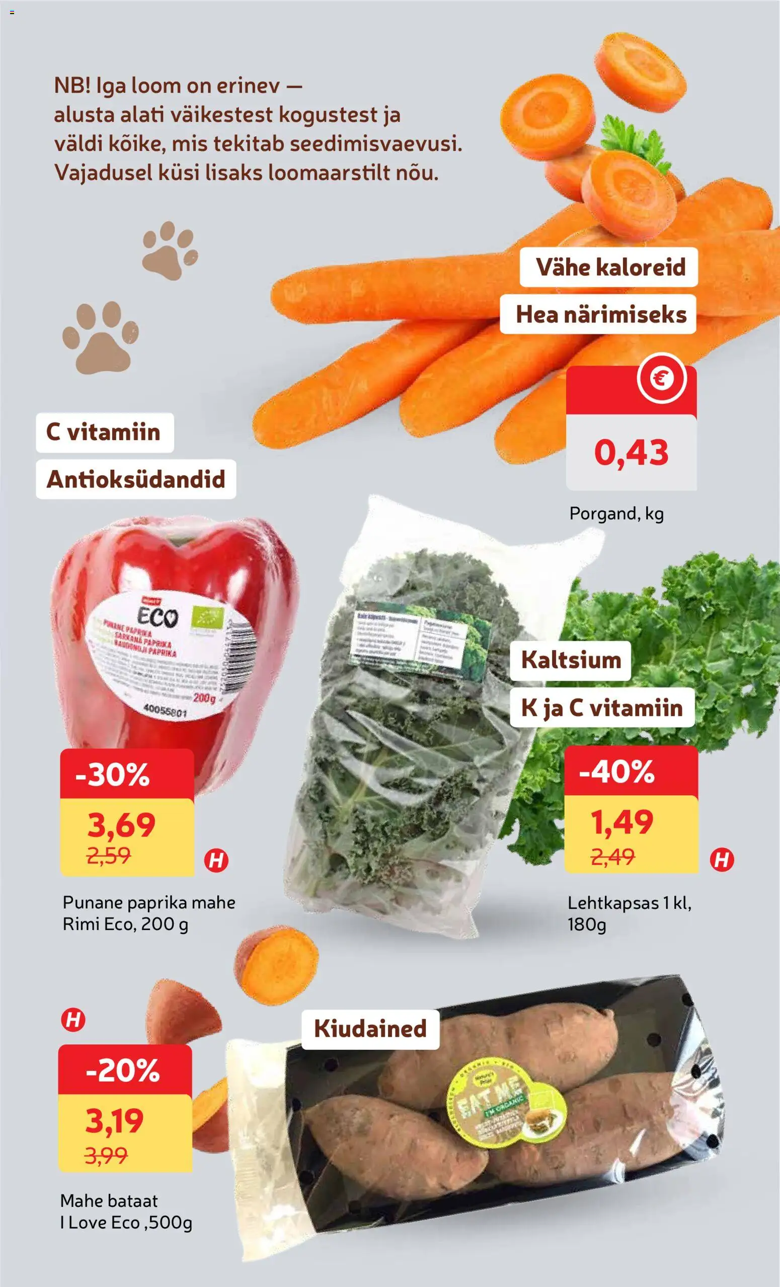 {H1} | Lehekülg: 11