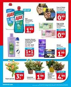 Hoogvliet folder - Voorbeeld van een folder van Hoogvliet, geldig van 22.04.2026 | Pagina: 26