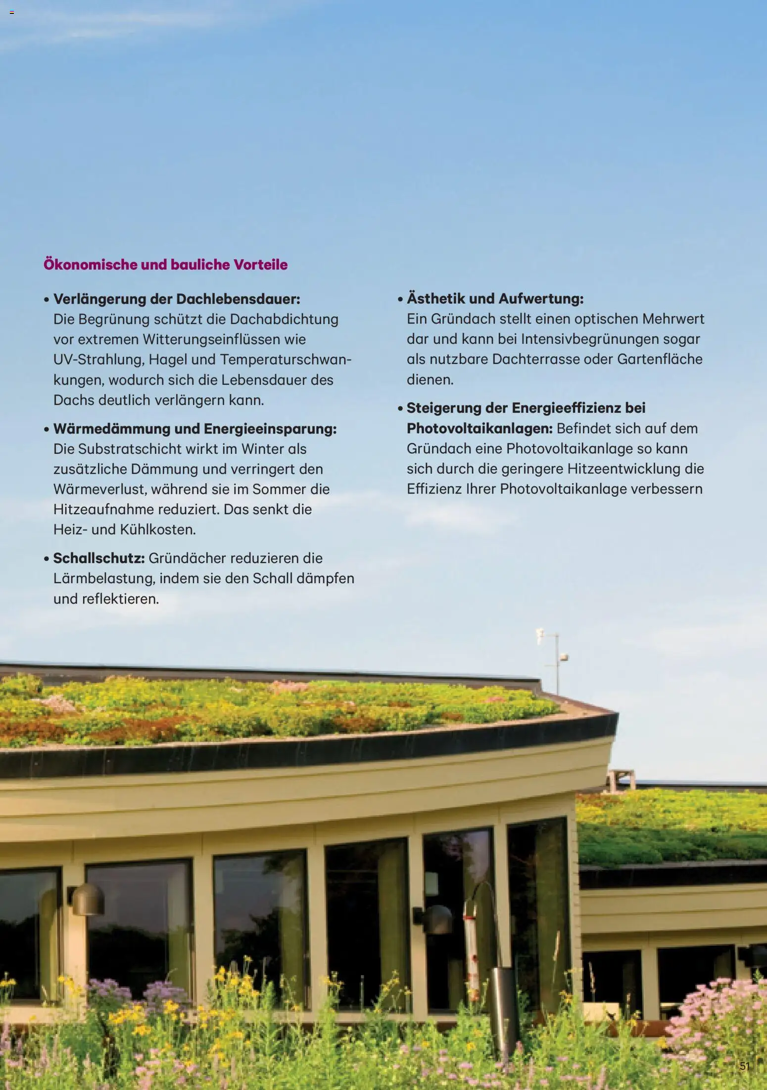 Lagerhaus Dämm[it] Folder gültig ab 02.01.2026 | Seite: 51