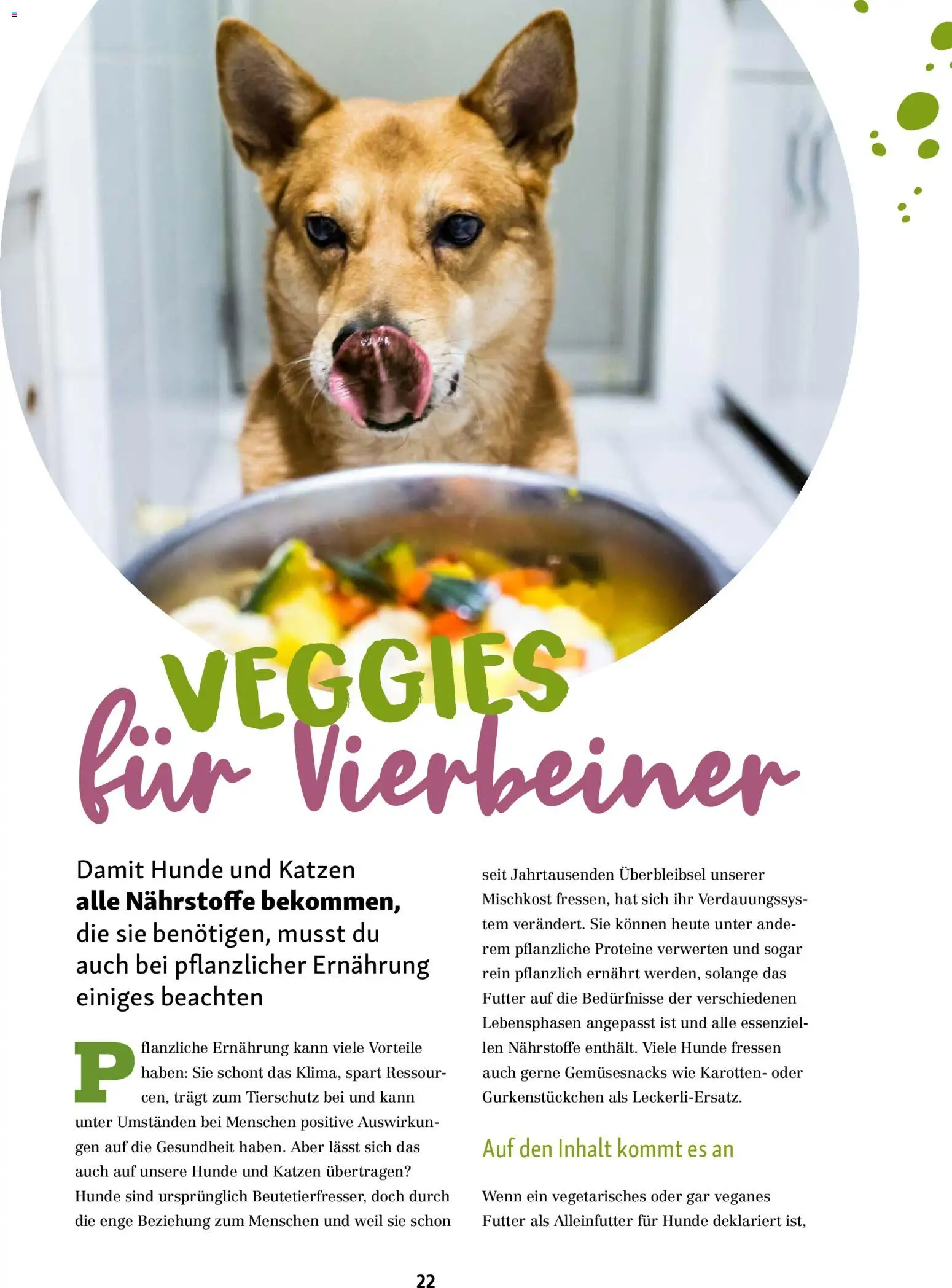 Fressnapf Friends Magazin – gültig ab 01.01.2026 | Seite: 22