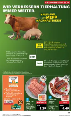 Kaufland Prospekt 	 ab 23.10.2025 gültig | Seite: 23 | Produkte: Cevapcici, Hackfleisch