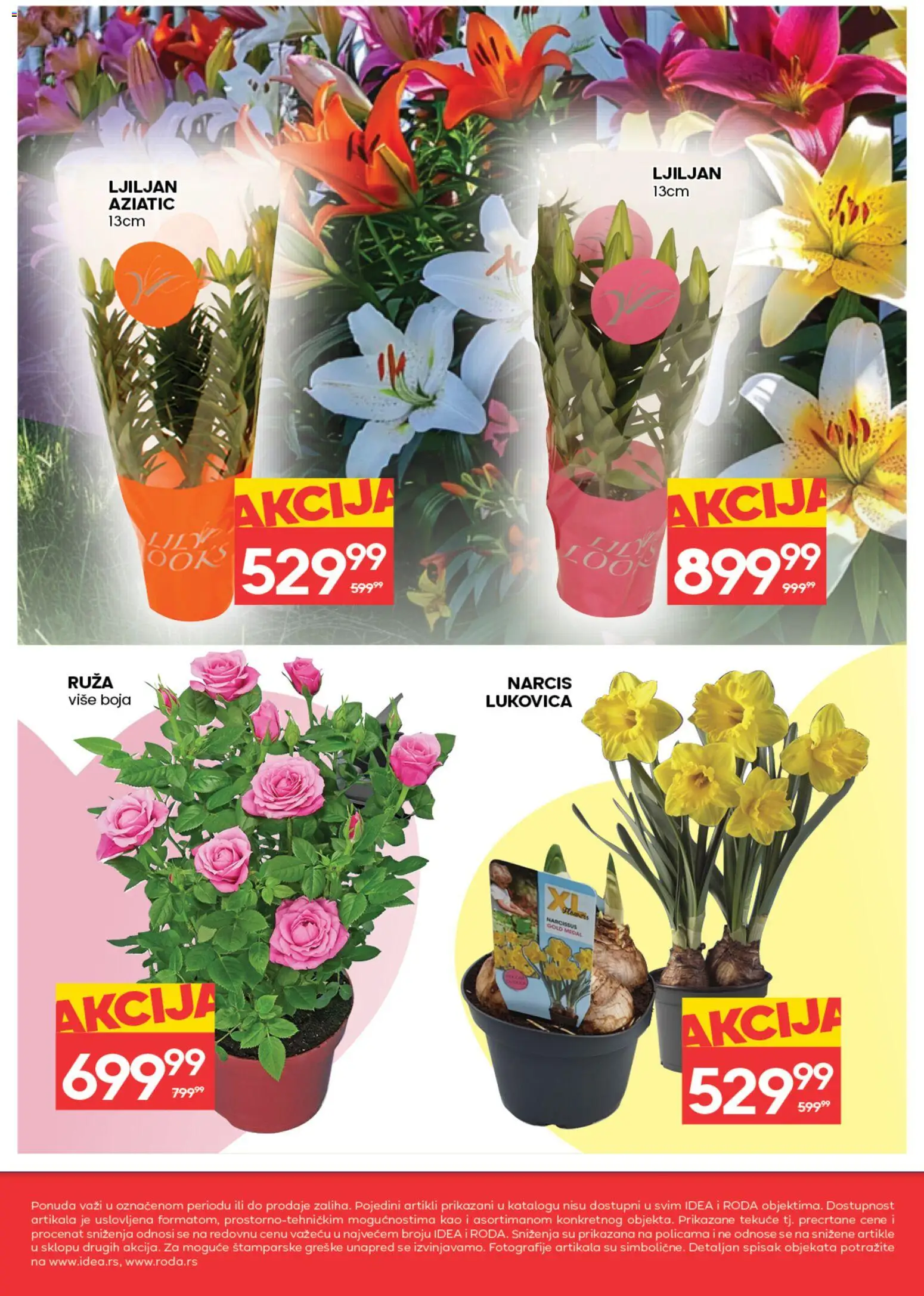 Roda katalog - važi od 05.03.2026 | Strana: 8