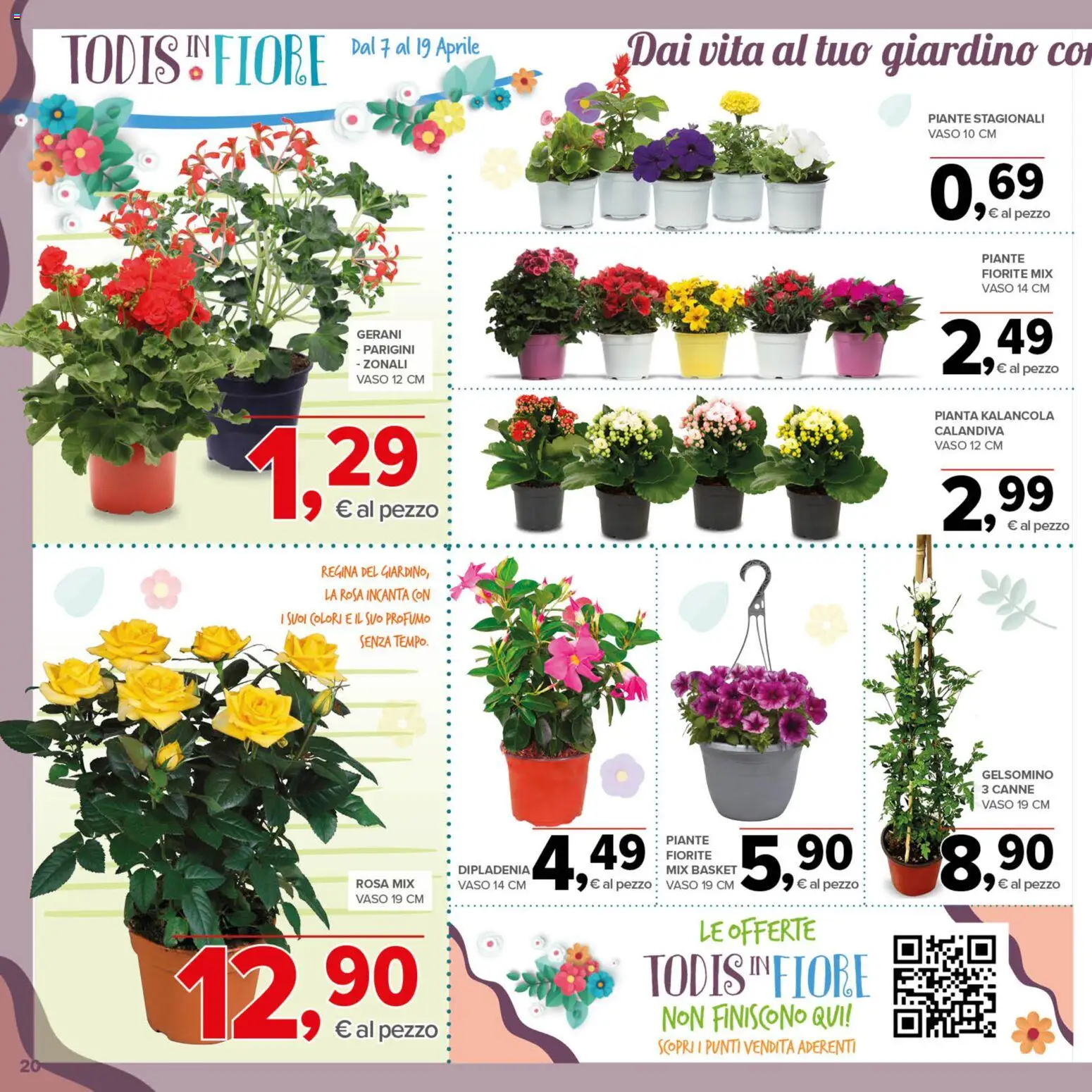 Volantino Todis del 07.04.2026 | Pagina: 20 | Prodotti: Gerani, Vaso, Profumo
