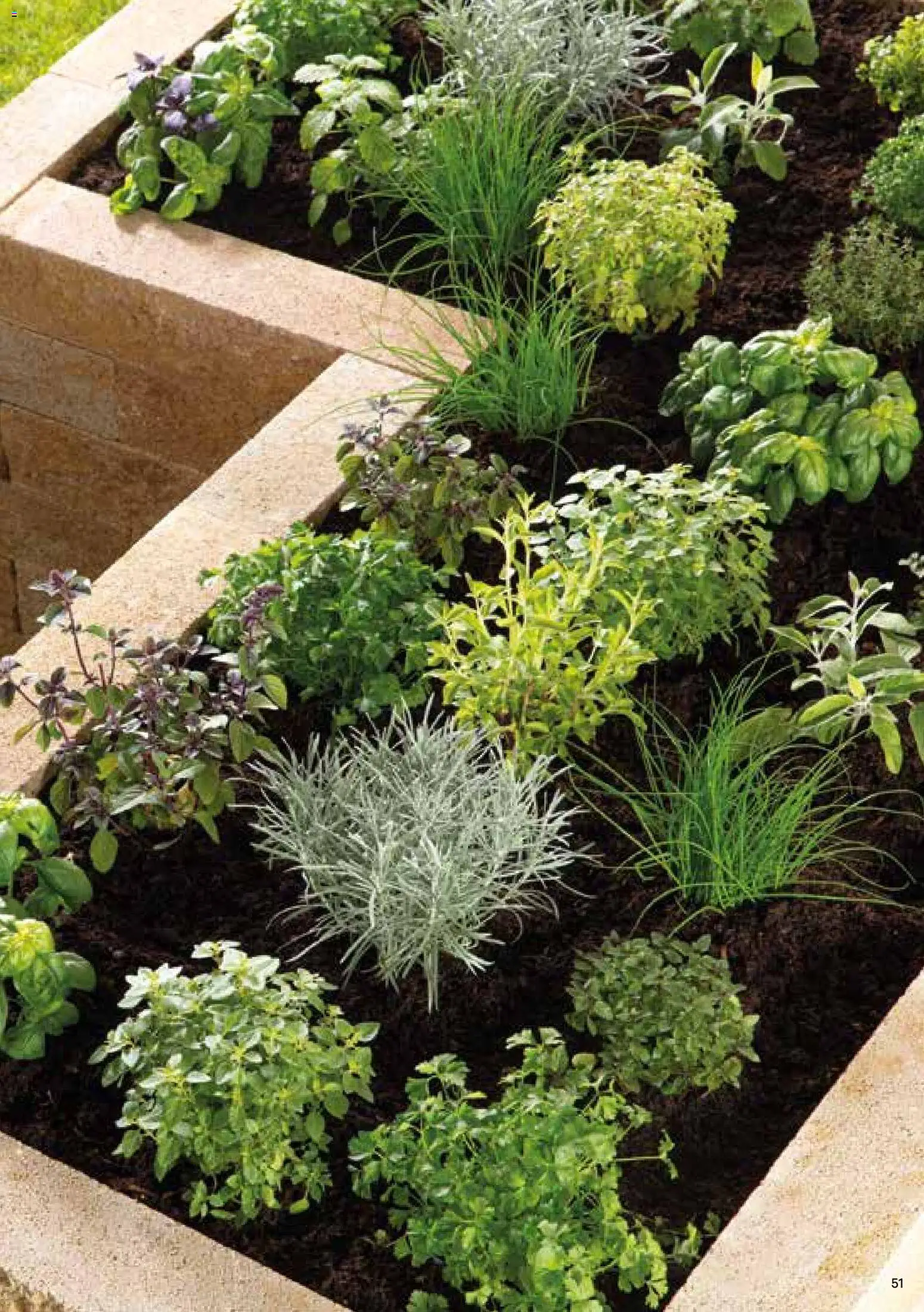 Lagerhaus  Casafino Katalog 2026 gültig ab 02.01.2026 | Seite: 51