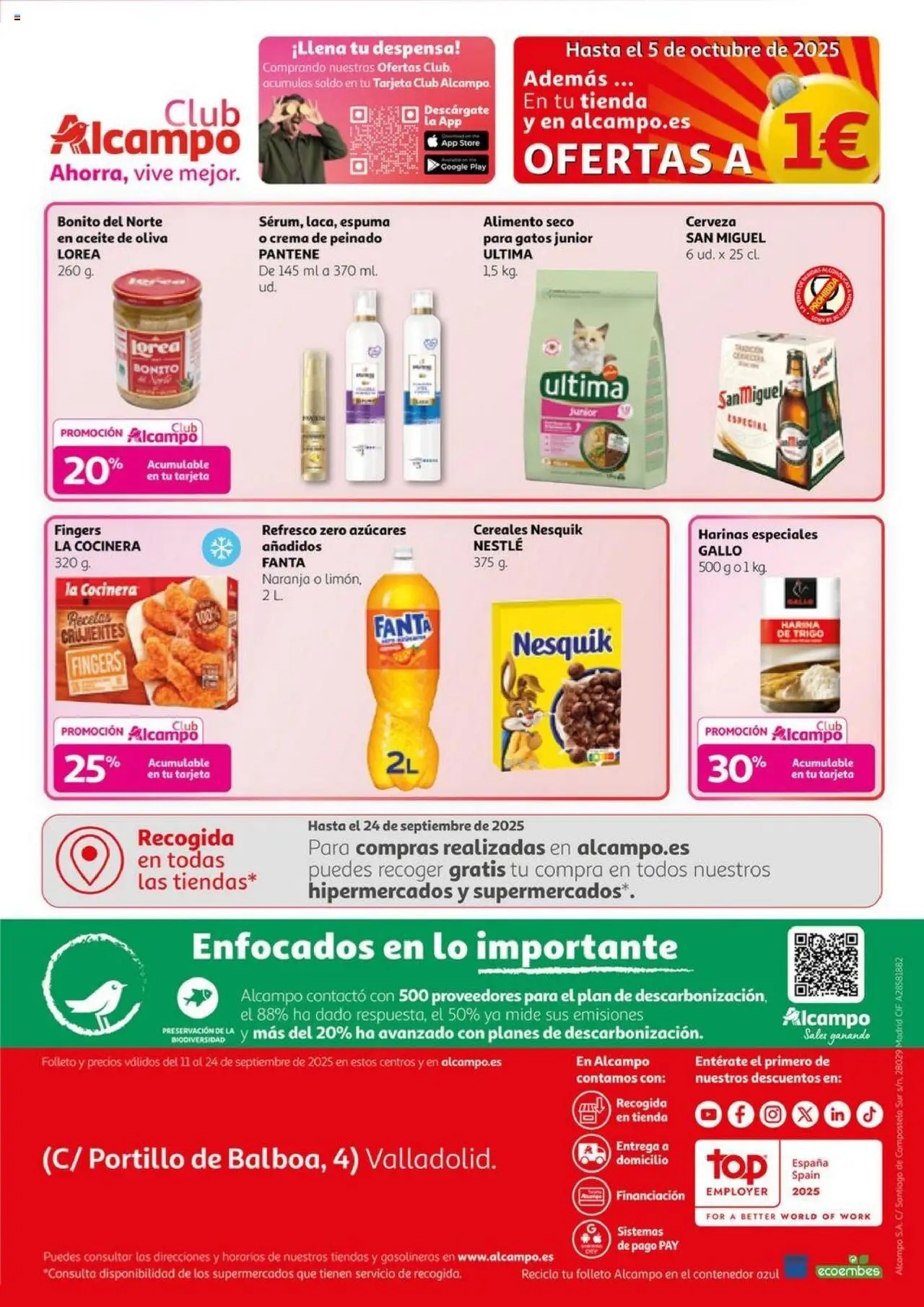 Alcampo - SM Valladolid │ válido desde el 11.09.2025 | Página: 8 | Productos: Aceite, Cerveza, Cereales, Crema