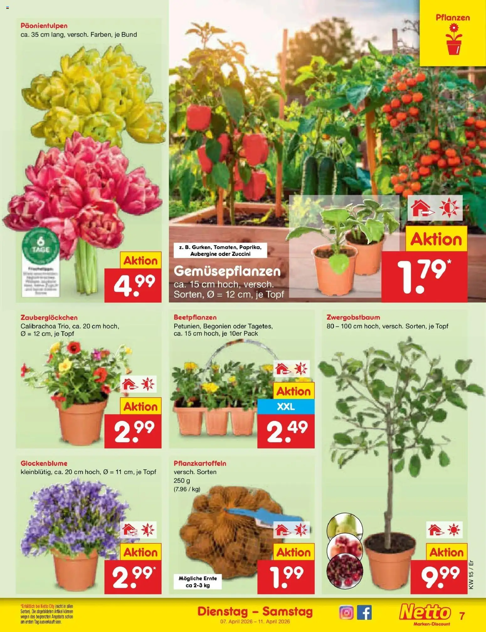 Netto Marken-Discount Prospekt Nordhausen	 – gültig ab 05.04.2026 | Seite: 9