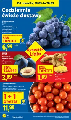 Polskie śliwki niebieskie, luzem, 1 kg od 18.09.2025 | Strona: 20