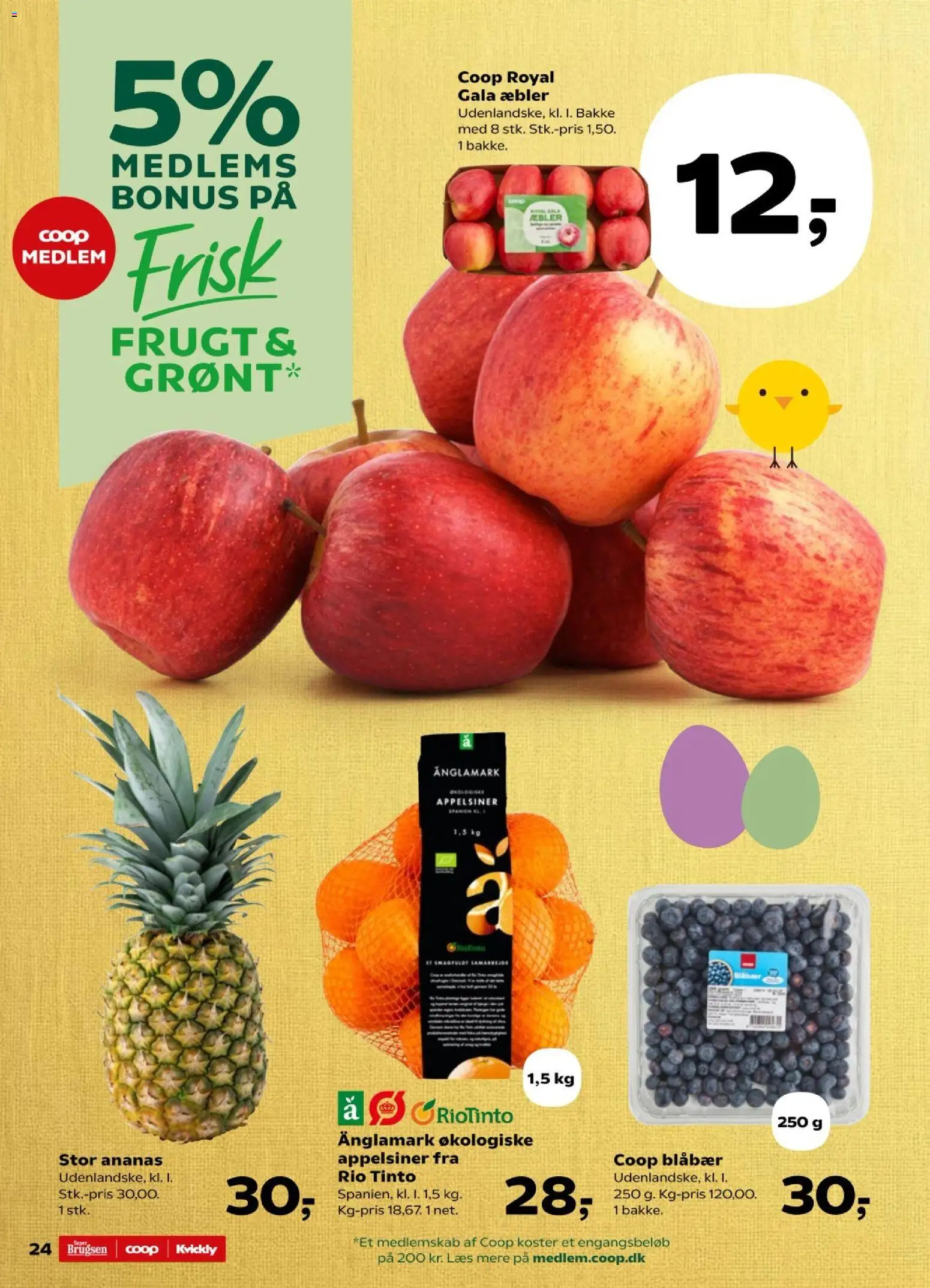 Super Brugsen tilbudsavis – gyldig fra 19.03.2026 | Side: 24 | Produkter: Blåbær, Æbler, Appelsiner, Ananas
