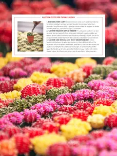 Bauhaus Passt! ab 01.10.2025 gültig | Seite: 31