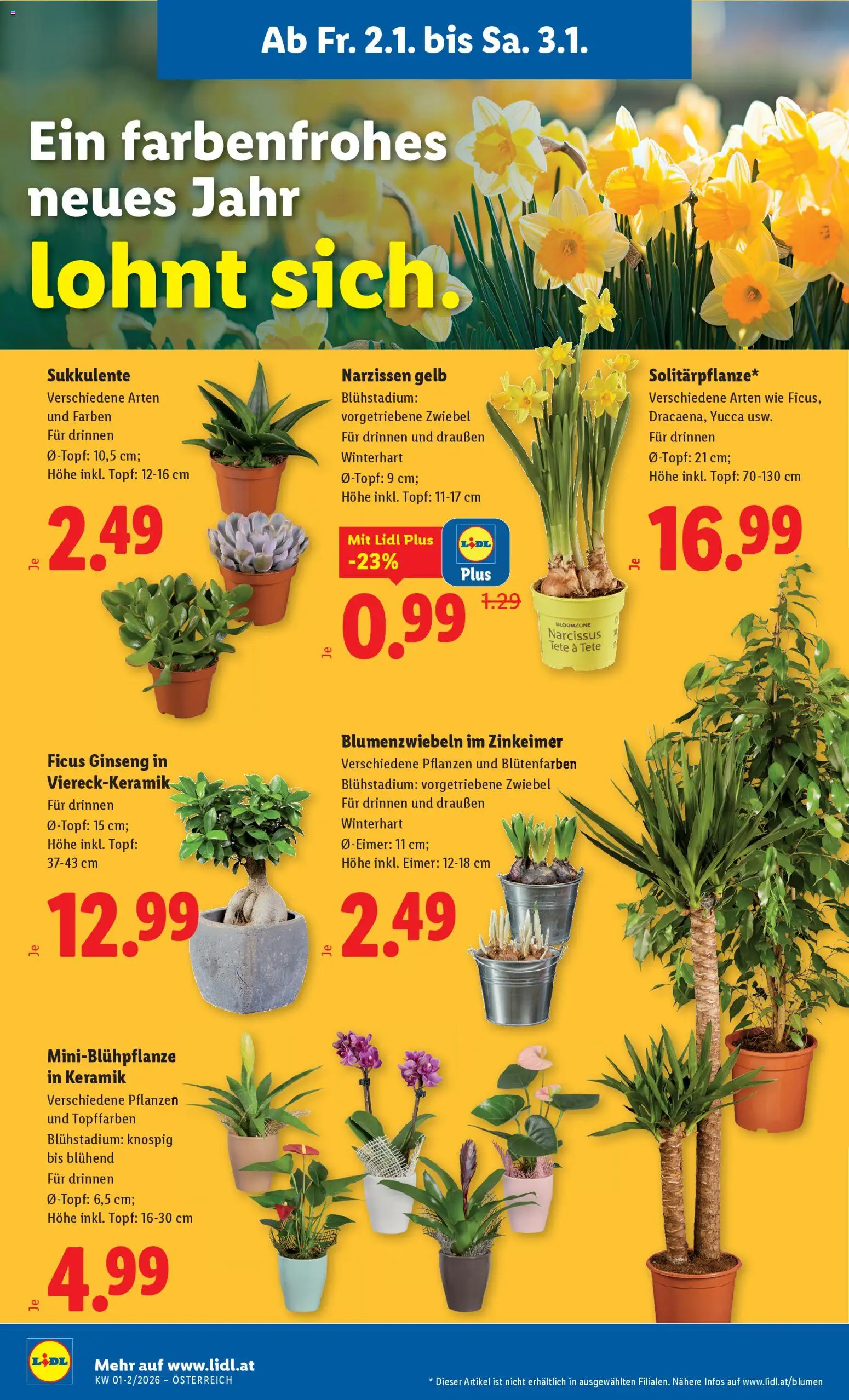 Lidl Flugblatt gültig ab 02.01.2026 | Seite: 24