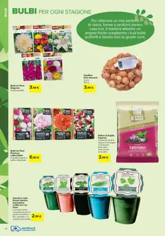 Anteprima del volantino Carrefour Iper Giardinaggio - Roma catalogo valido a partire dal 19.02.2026 | Pagina: 12 | Prodotti: Prezzemolo, Cipolline, Vaso, Terra