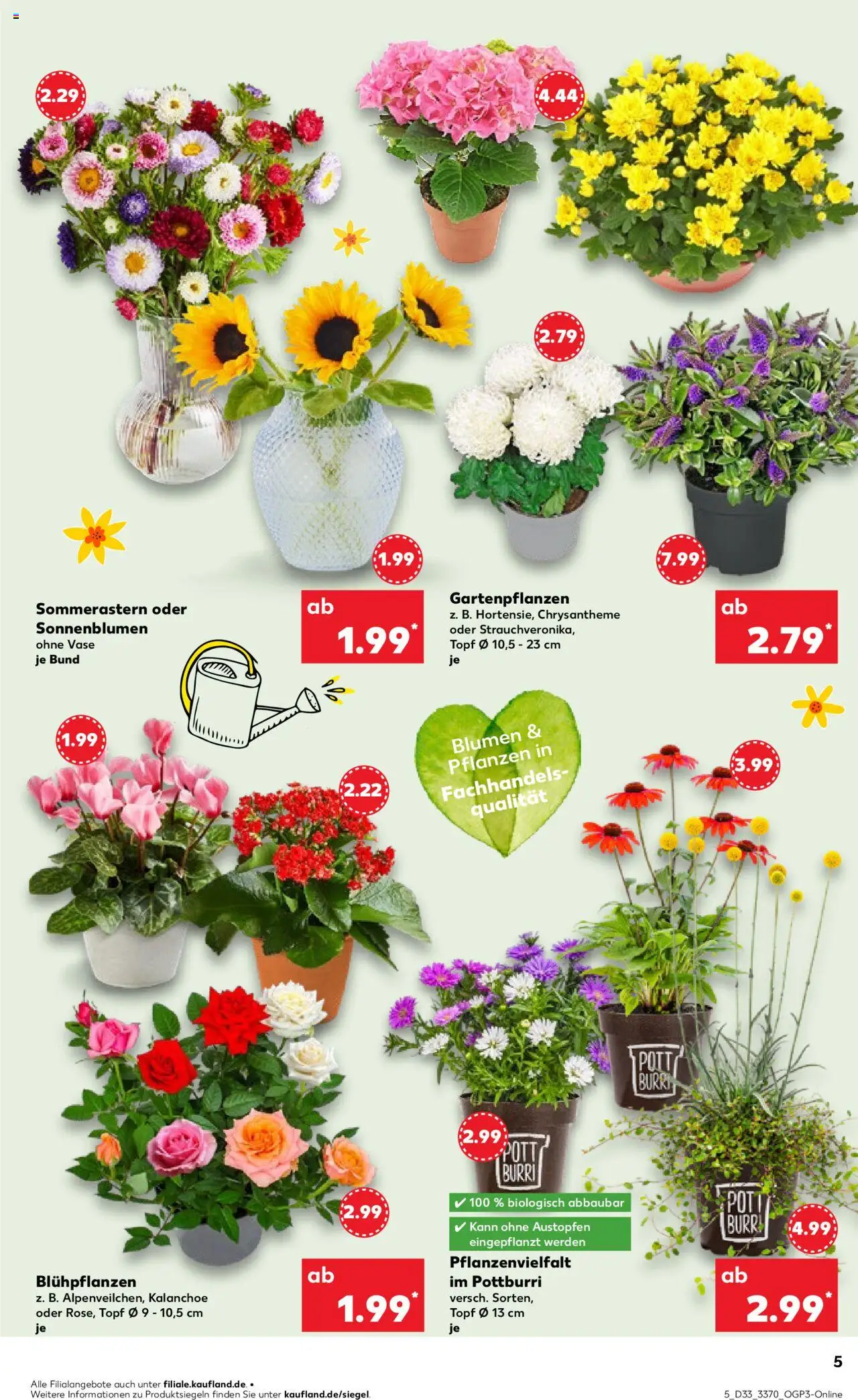 Kaufland Prospekt 	 - gültig ab dem 14.08.2025 | Seite: 5 | Produkte: Blumen, Vase