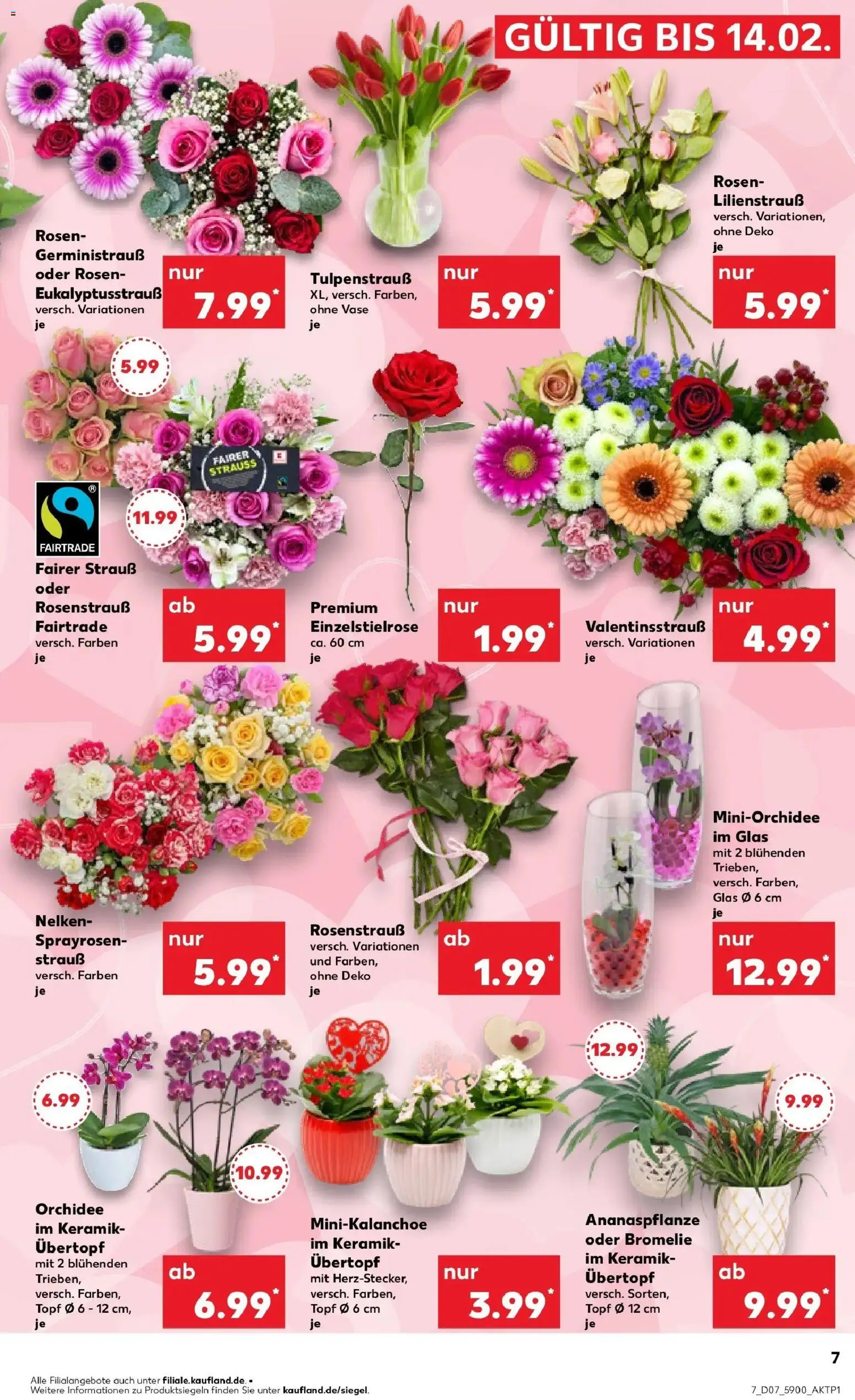 Kaufland prospekt Königs Wusterhausen	 – gültig ab 16.02.2026 | Seite: 7 | Produkte: Orchidee, Vase