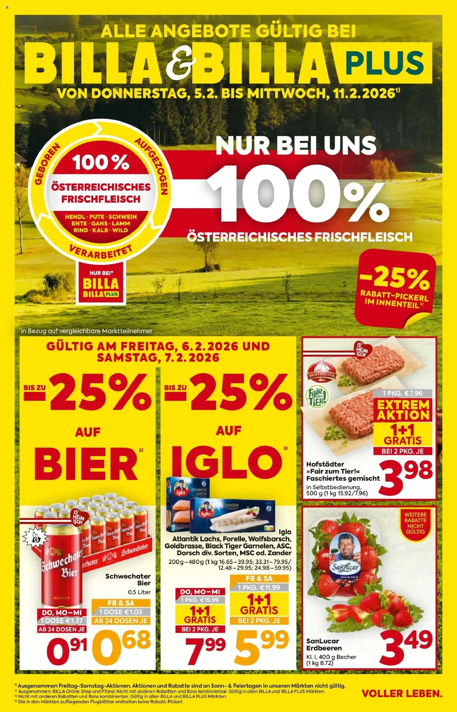 Billa Flugblatt - Wien gültig ab 05.02.2026 | Seite: 1 | Produkte: Erdbeeren, Bier