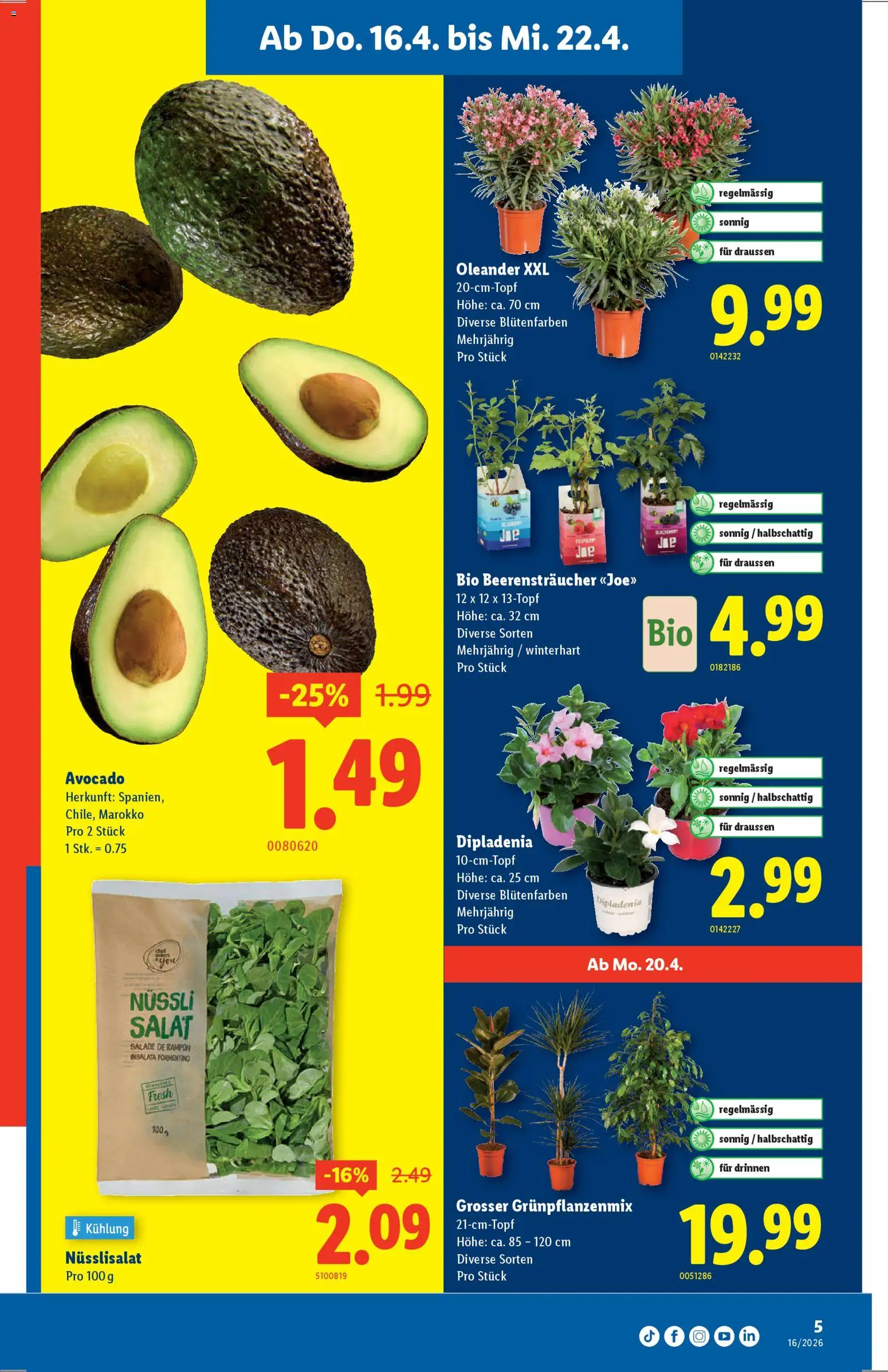 Lidl aktionen – gültig ab 16.04.2026 | Seite: 5