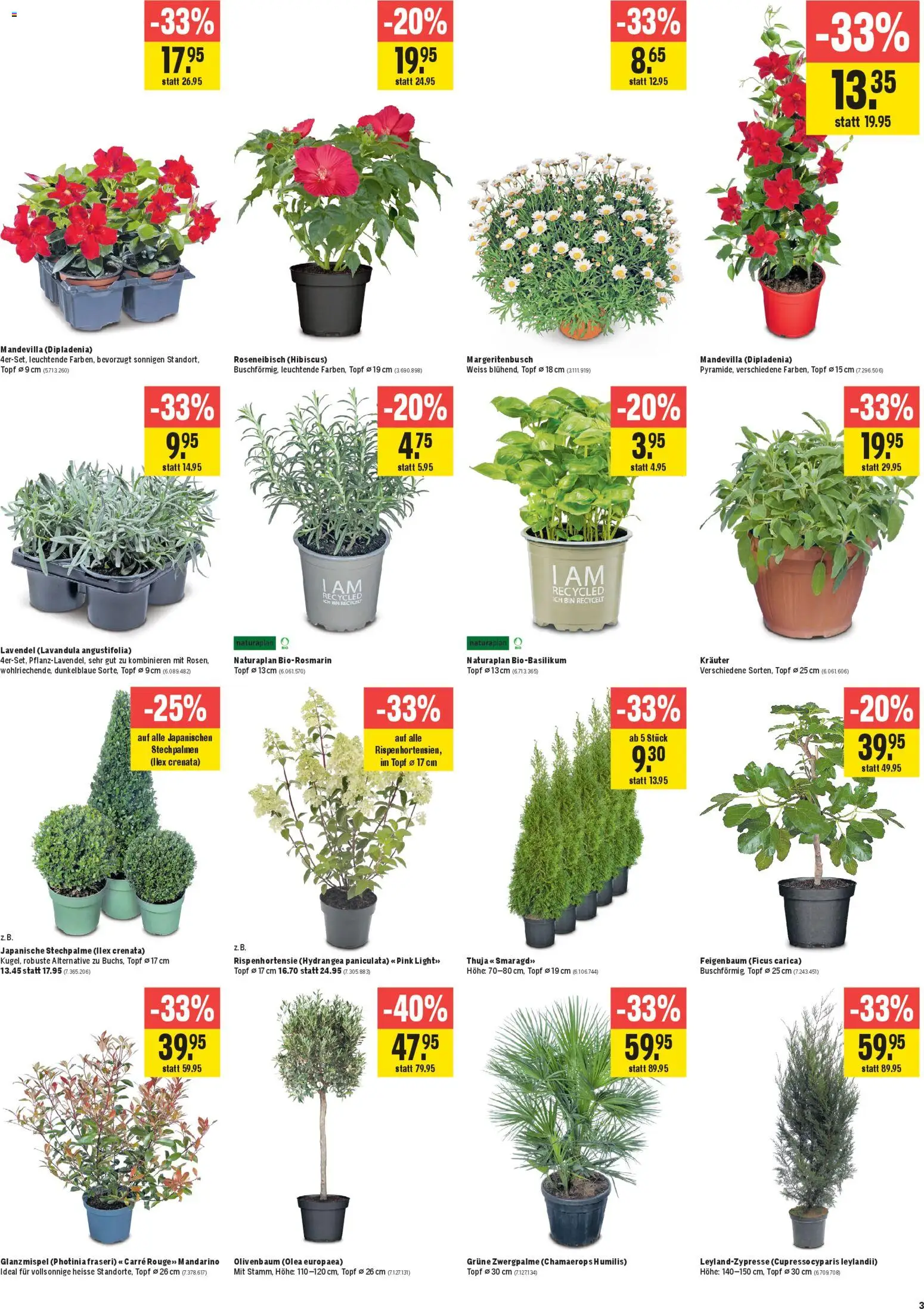 Jumbo aktionen – gültig ab 23.04.2026 | Seite: 3 | Produkte: Rouge