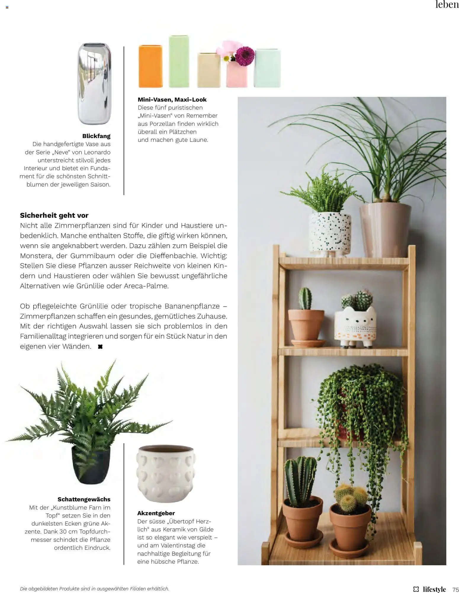 Müller Magazin – gültig ab 15.01.2026 | Seite: 75 | Produkte: Vase