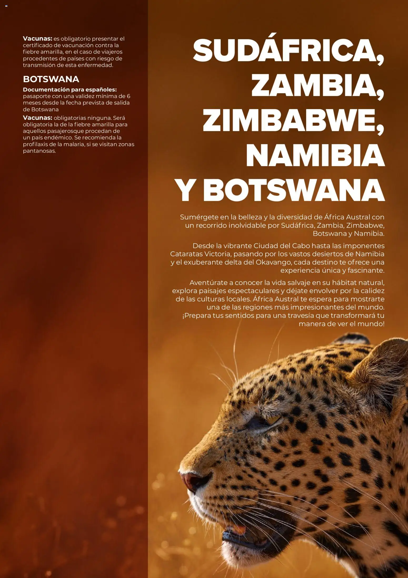 Viajes El Corte Inglés Africa y Oriente Medio │ válido desde el 01.01.2026 | Página: 55 | Productos: Té