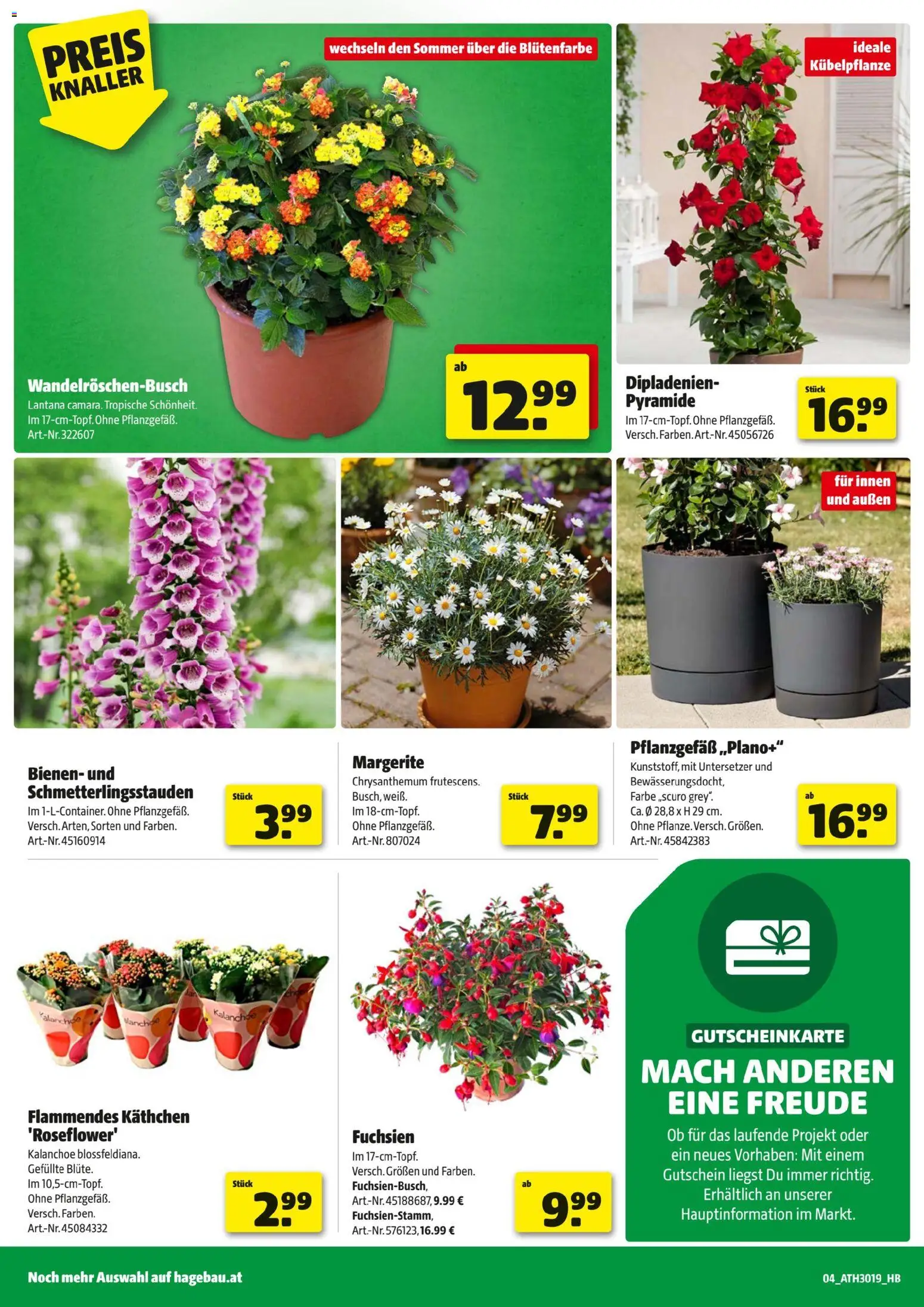 Hagebau Flugblatt gültig ab 27.04.2026 | Seite: 4